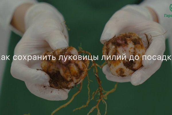 Ссылка на кракен официальный
